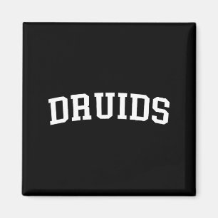 Imán Druidas