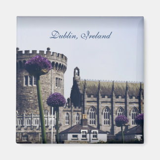 Imán Dublin Magnet