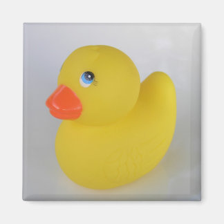 Imán Duck Magnet