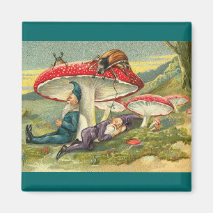 Imán Duendes soñolientos