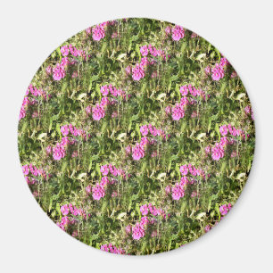 Imán Dulce Carne de Pea.....