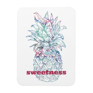 Imán Dulce Pineapple rosa y azul acuarela