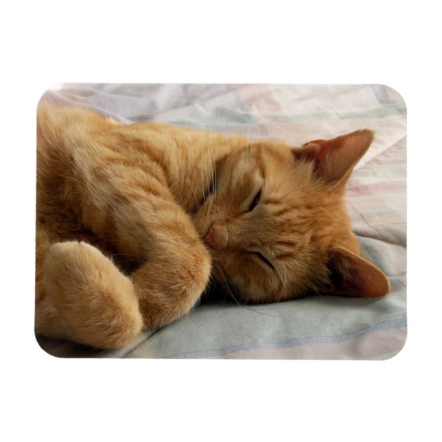 Imán Dulces sueños (Horizontal)