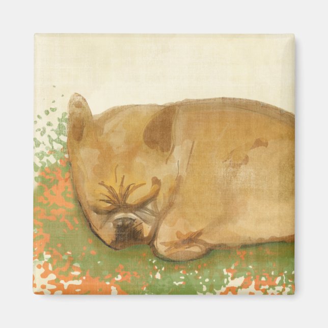 Imán Dulces sueños (Frente)