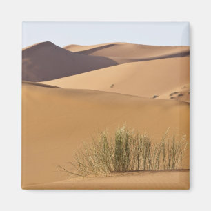 Imán Dunas de arena, desierto del Sahara, Marruecos