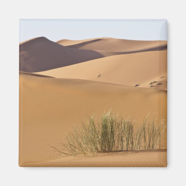 Imán Dunas de arena, desierto del Sahara, Marruecos (Frente)