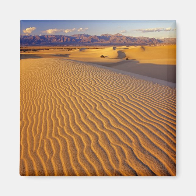 Imán Dunas de arena Mesquite Flat en Death Valley (Frente)