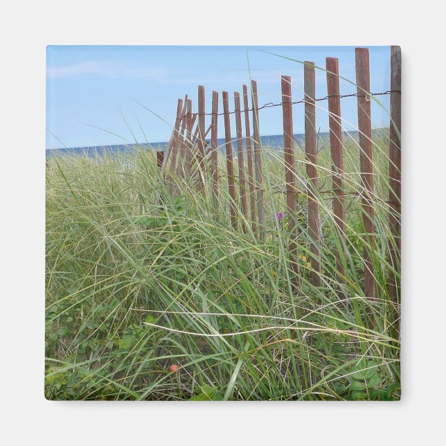 Imán Dunas de Cape Cod (Frente)