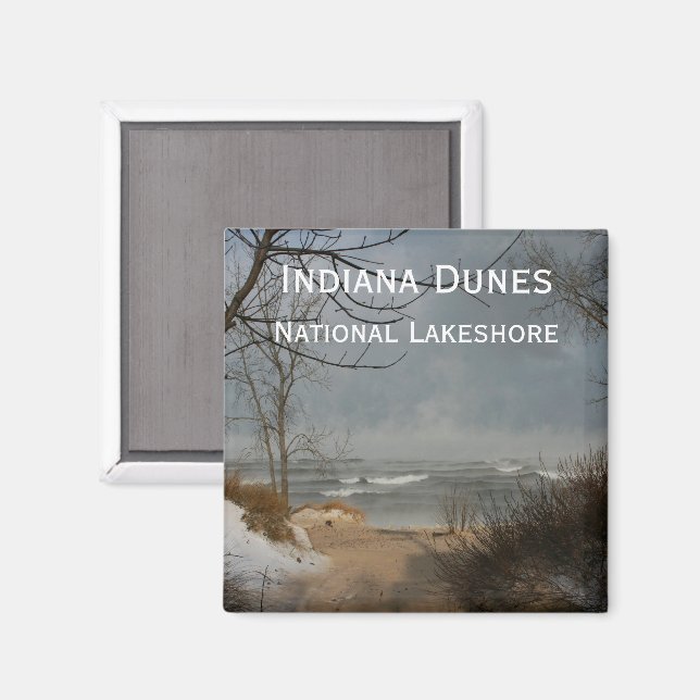 Imán Dunas de Indiana, Lago Shore, Nublada, Invierno (Anverso/Reverso)