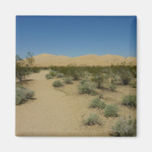 Imán Dunas de Kelso en el Parque Nacional Mojave