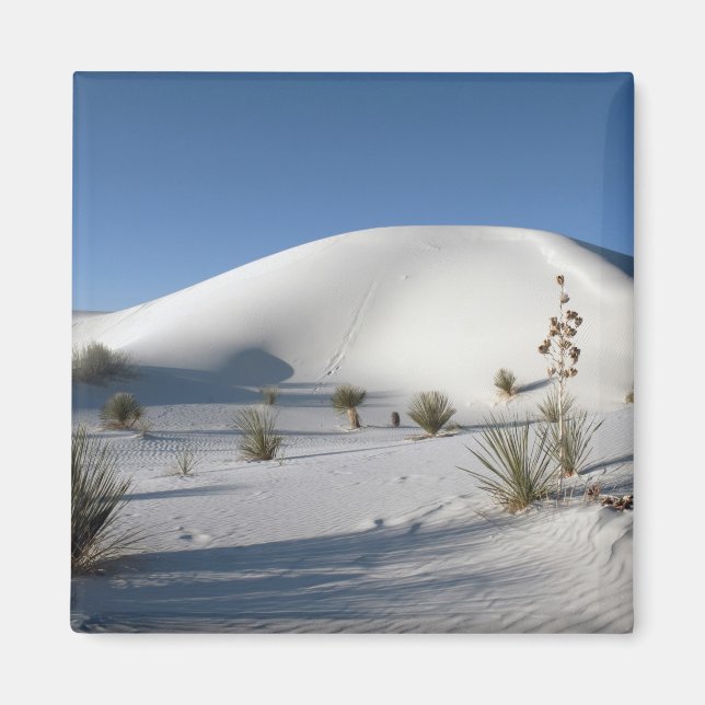 Imán Dunas transversales y Yucca Soaptree (Frente)