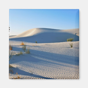 Imán Dunas Transversales, Yucca, Luz Temprana de la Mañ