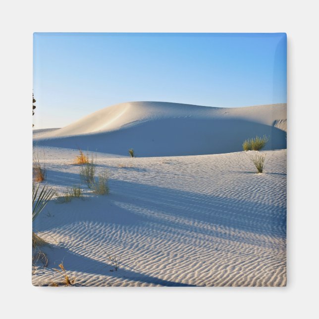Imán Dunas Transversales, Yucca, Luz Temprana de la Mañ (Frente)
