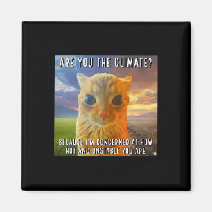 Imán Dúo Divertido San Valentín Gato Naranja Meme ¿Eres