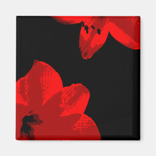 Imán dúo rojo amaryllis