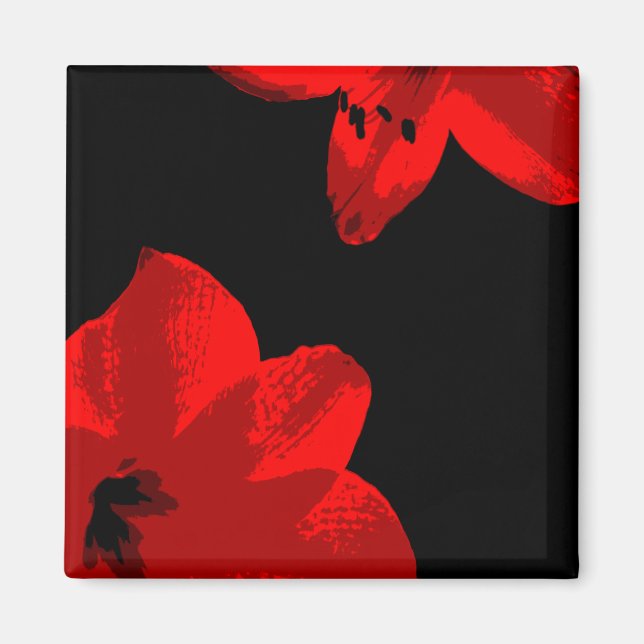 Imán dúo rojo amaryllis (Frente)