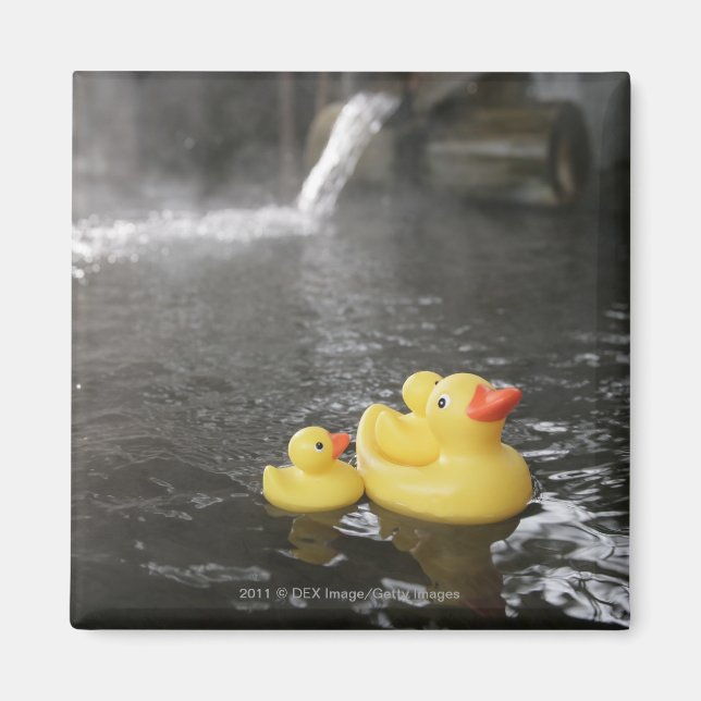 Imán Duques de caucho japoneses (Frente)