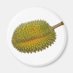 Imán Durian