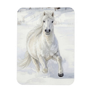 Imán Dyfra el caballo islandés galopando en la nieve