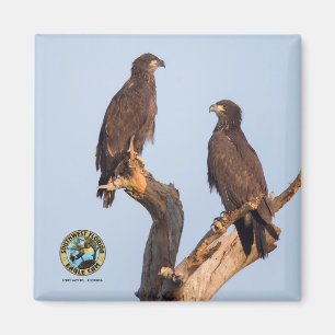 Imán E12 y E13 Magnet