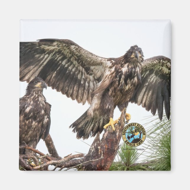 IMÁN E15 E16 (Frente)