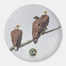 E23 y familia - M15, F23 y primer águila