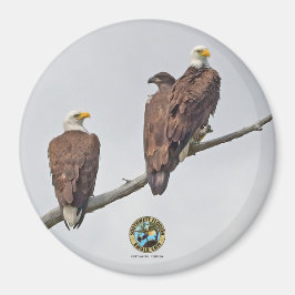 Imán E23 y familia - M15, F23 y primer águila