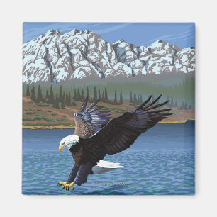 Imán Eagle calvo que se zambulle - parque nacional de