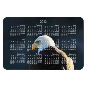 Imán Eagle calvo solitario; Calendario 2013