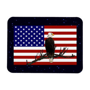 Imán Eagle Calvo Vigilante