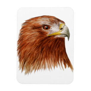 Imán Eagle de oro 2011