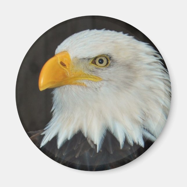 Imán Eagle Head Magnet (Frente)