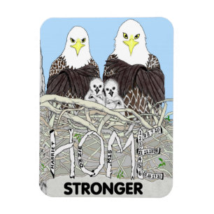 IMÁN EAGLES HARRIET, M15, E17 + E18 LIBRO - FUERTE EN E