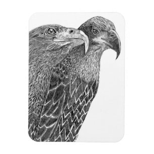 IMÁN EAGLES HARRIET + M FLURRY OF FEATHERS & AMIGOS