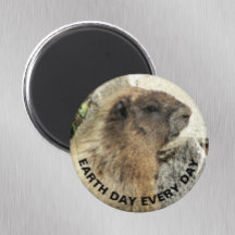 Earth Day Every Day Hoary Marmot Photo