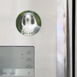 Imán Earth Day Every Day Peregrine Falcon Photo