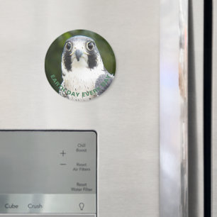 Imán Earth Day Every Day Peregrine Falcon Photo