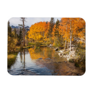 Imán Eastern Sierra, Bishop Creek, salida de California