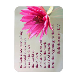 Imán Ecclesiastes 3:11 Todo lo hermoso en su tiempo