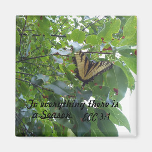 Imán Ecclesiastés 3:1 En todo momento hay una temporada