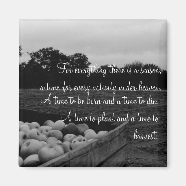 Imán Ecclesiastes 3:2 (Frente)