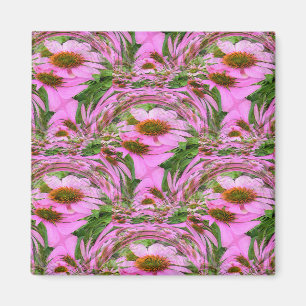 Imán Echanicea.......