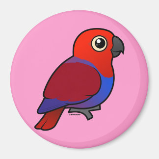 Imán Eclectus Parrot