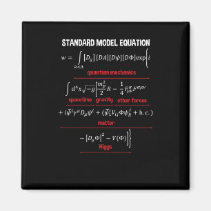 Imán Ecuación de Modelo Estándar Nerdy - Regalo Para Fí
