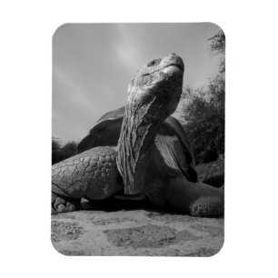 Imán Ecuador, Parque Nacional Islas Galápagos, Santa