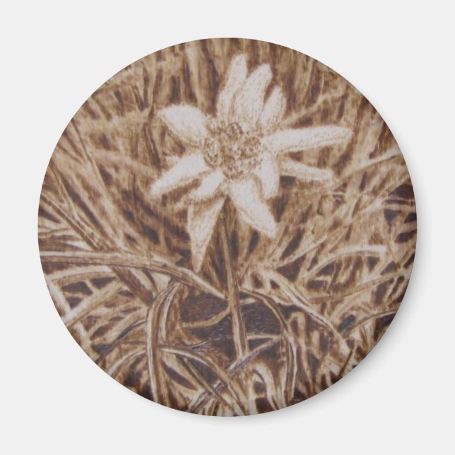 Imán Edelweiss - Stella alpina (Frente)