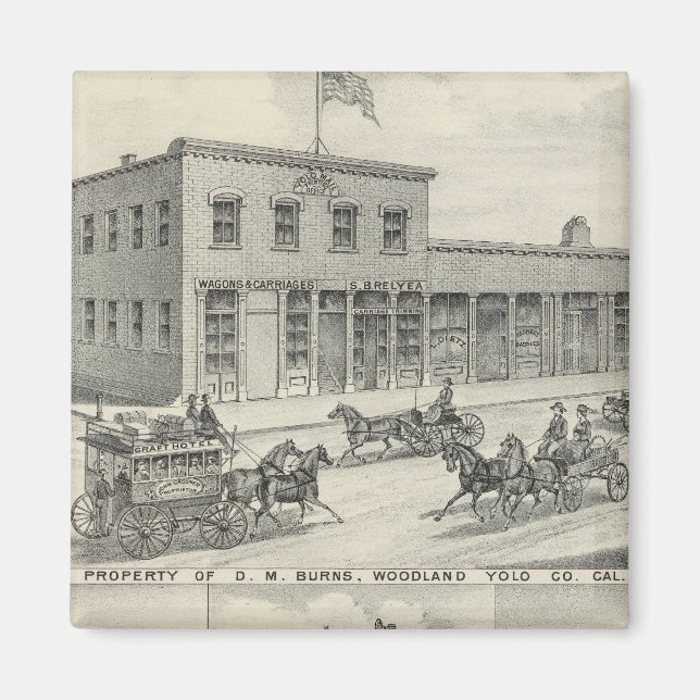 Imán Edificio de bosques del condado de Yolo (Frente)