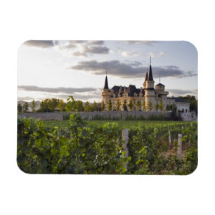 Imán Edificio de invierno visto desde el viñedo en