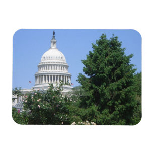 Imán Edificio del Capitolio del Parque Bartholdi