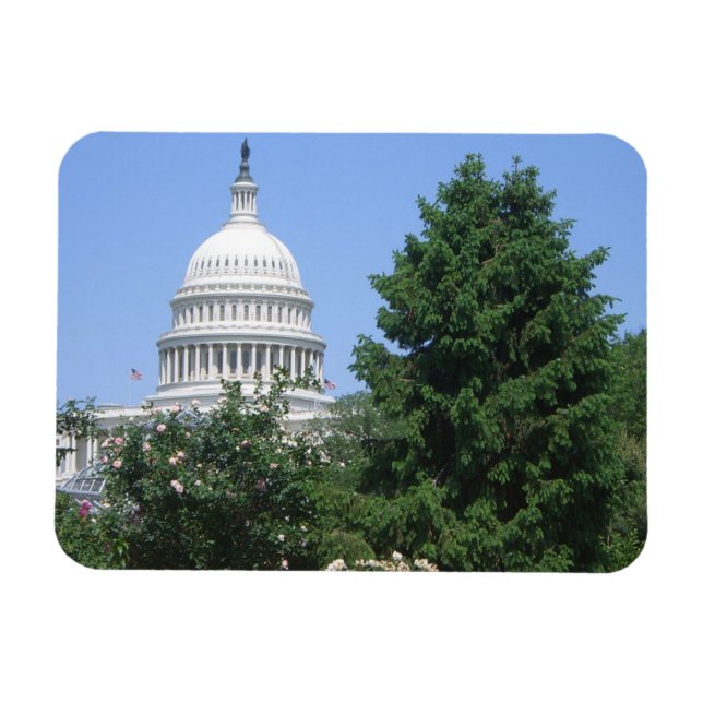 Imán Edificio del Capitolio del Parque Bartholdi (Horizontal)